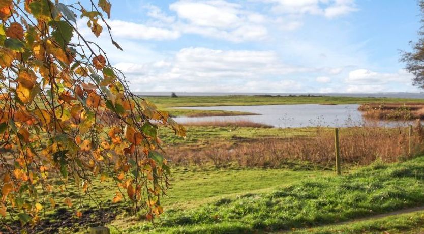 Photo of "Simo" - 250m from the sea