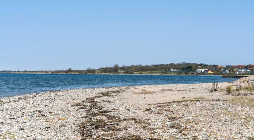 Photo of "Lucjan" - 50m from the sea