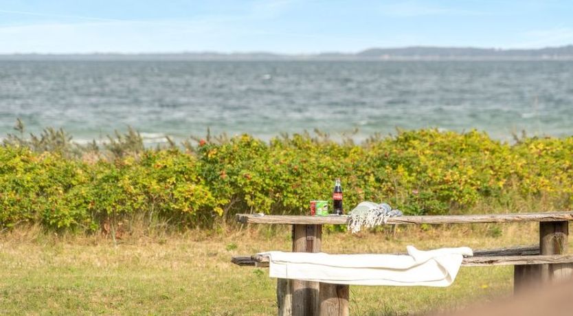 Photo of "Sigurd" - 20m from the sea