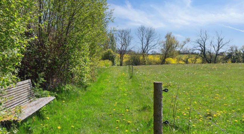 Photo of "Bjarke" - 200m from the sea