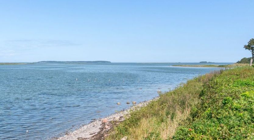 Photo of "Nomi" - 85m from the sea