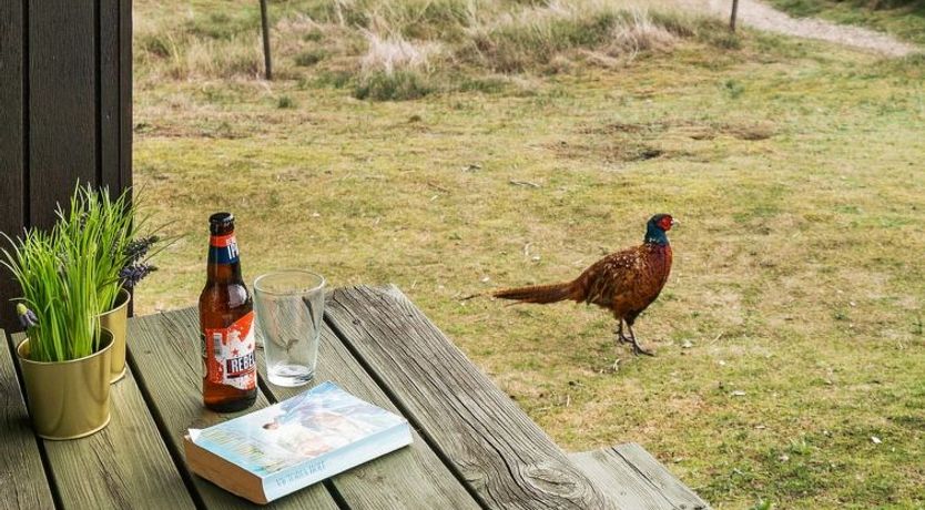 Photo of "Delia" - 300m from the sea