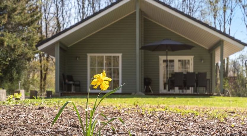 Photo of "Eryka" - 28km from the sea