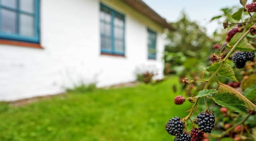 Photo of "Clausina" - 600m from the sea
