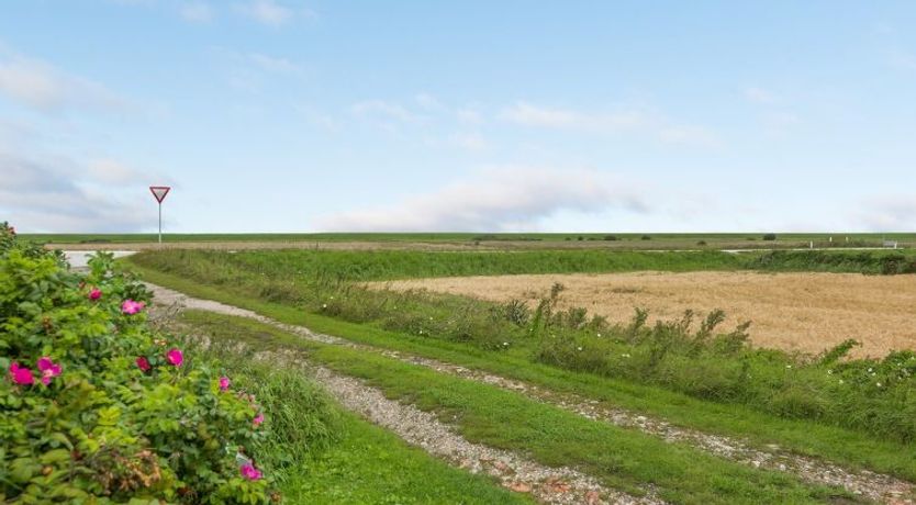 Photo of "Clausina" - 600m from the sea