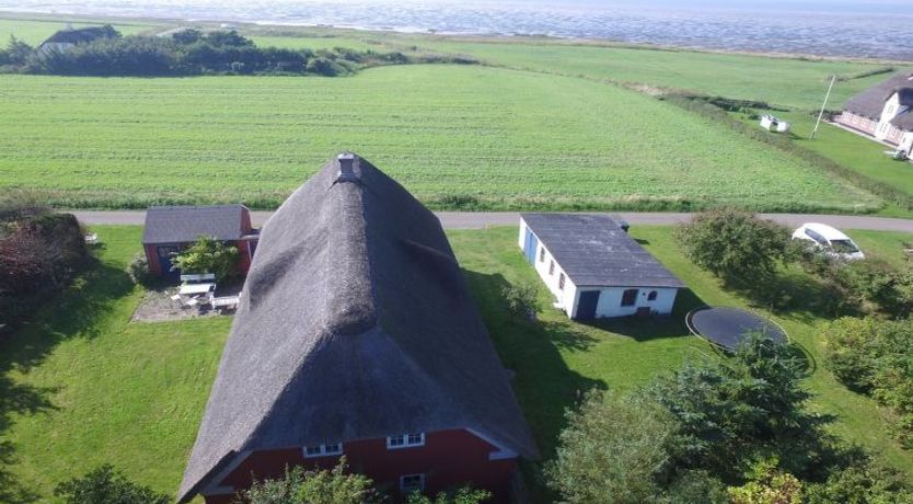 Photo of "Kielo" - 10km from the sea