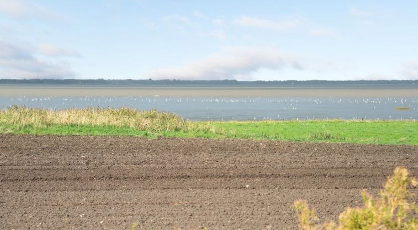 Photo of "Kielo" - 10km from the sea