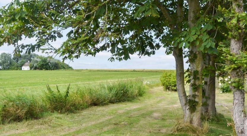 Photo of "Juuso" - 20km from the sea