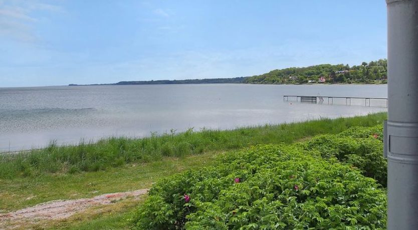 Photo of "Melia" - 50m to the fjord