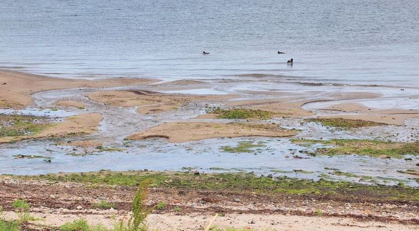 Photo of "Melia" - 50m to the fjord