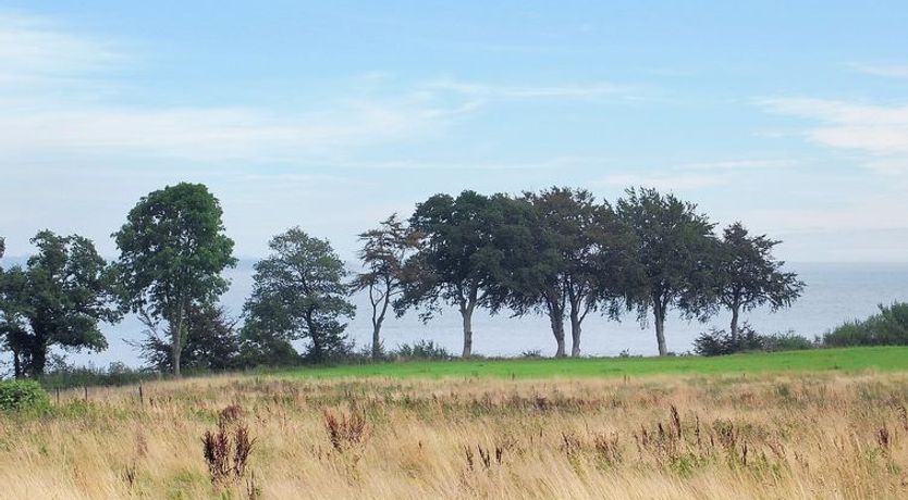 Photo of "Iorund" - 550m from the sea