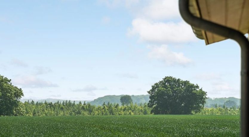 Photo of "Iorund" - 550m from the sea