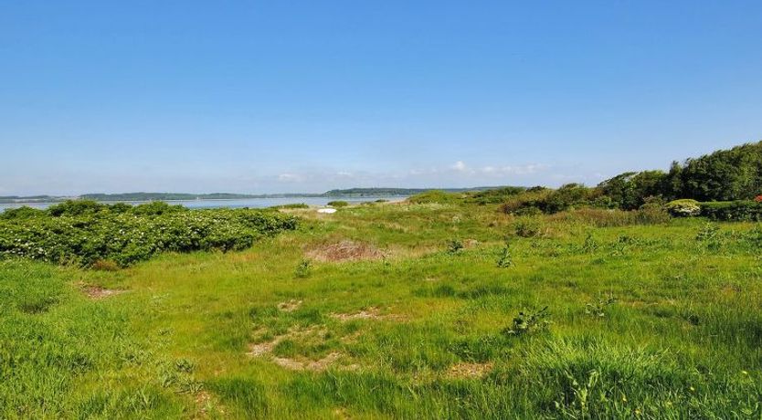 Photo of "Eloise" - 50m to the fjord