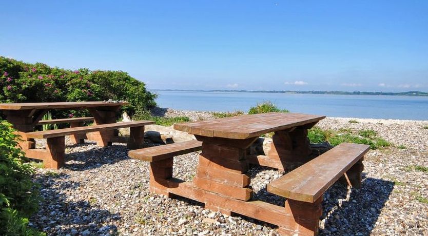 Photo of "Eloise" - 50m to the fjord