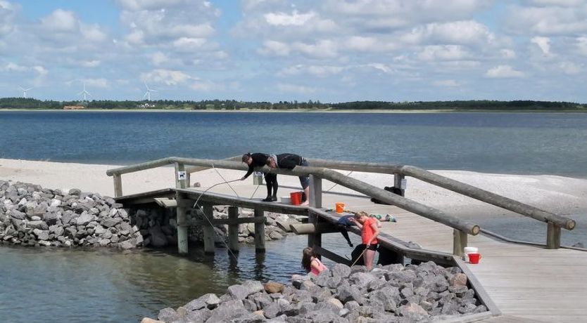 Photo of "Scarlet" - 400m to the fjord