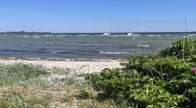 Photo of "Ely" - 300m from the sea