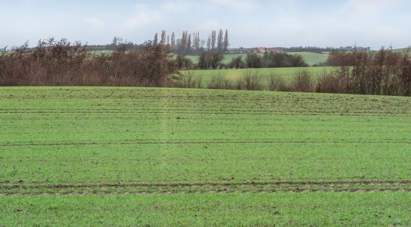 Photo of "Truels" - 2km from the sea