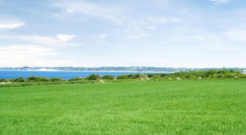 Photo of "Brynjolf" - 350m to the fjord