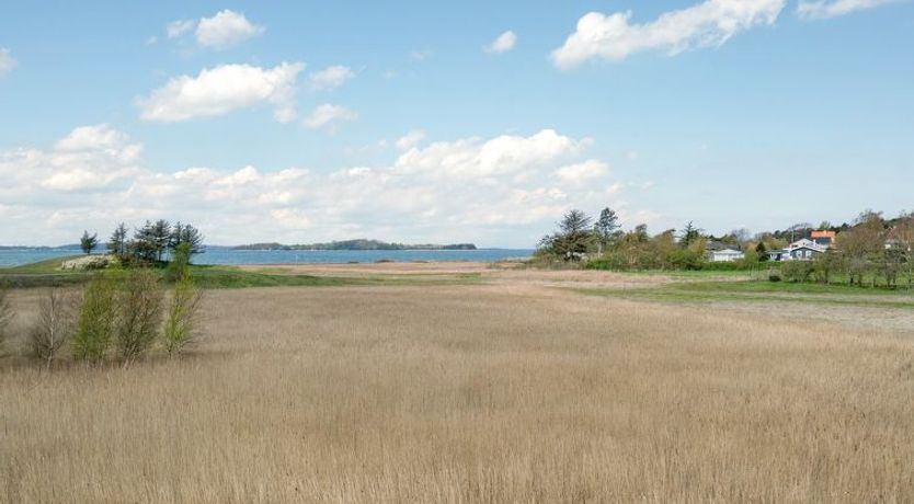 Photo of "Antti" - 350m from the sea