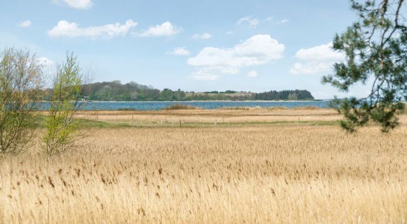 Photo of "Antti" - 350m from the sea