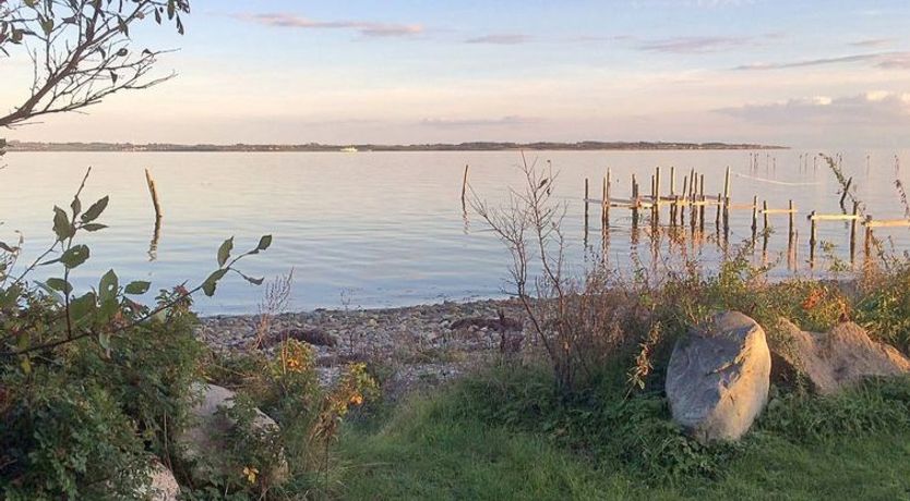 Photo of "Sissela" - 5m from the sea