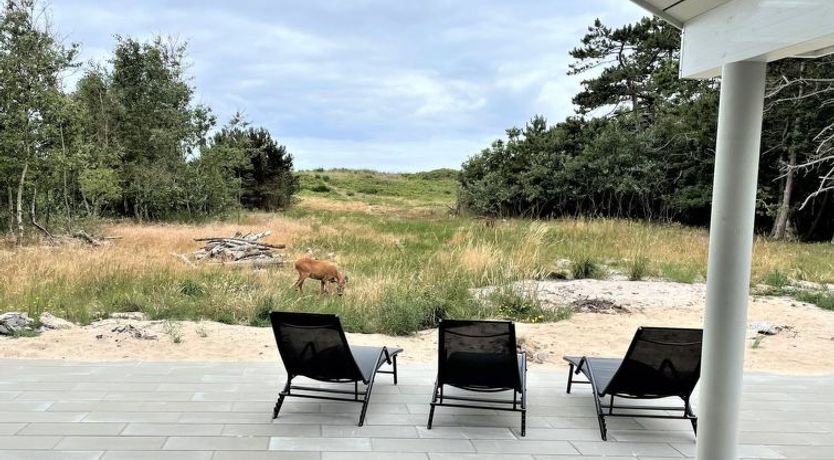 Photo of "Jorn" - 75m from the sea