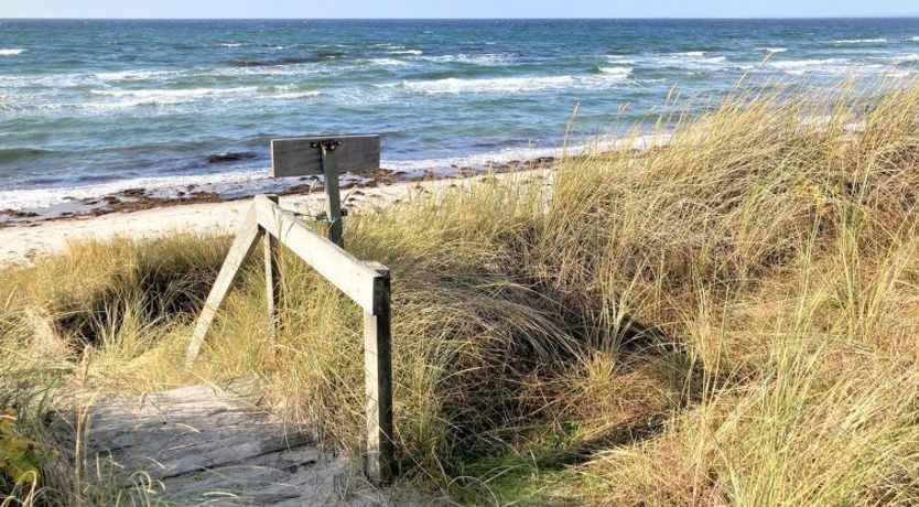 Photo of "Osa" - 150m from the sea