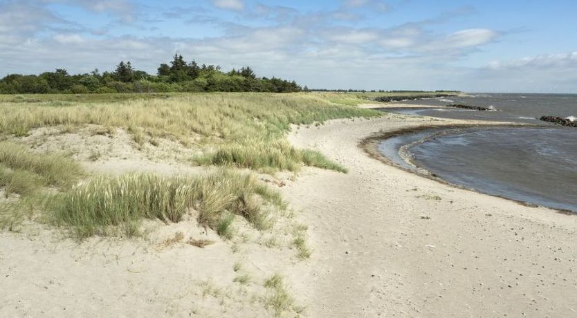 Photo of "Lottje" - 300m from the sea