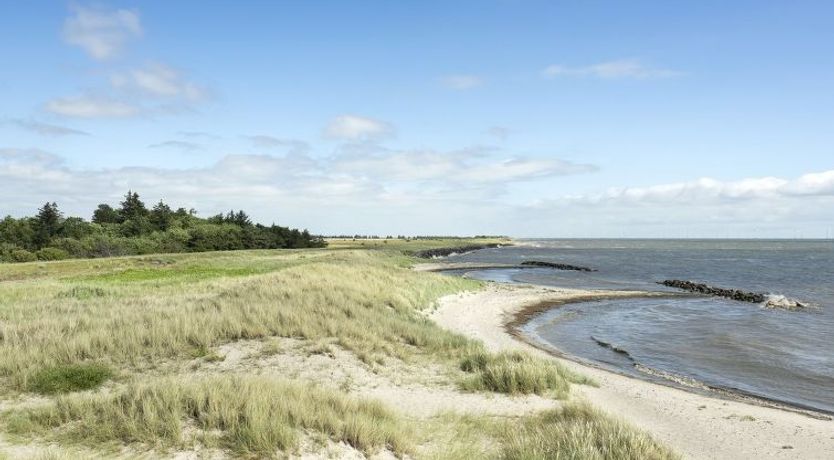 Photo of "Lottje" - 300m from the sea