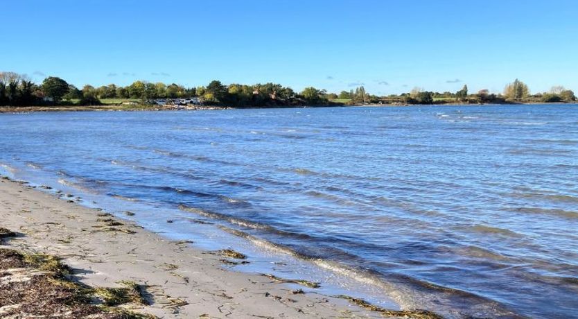 Photo of "Sazur" - 75m from the sea