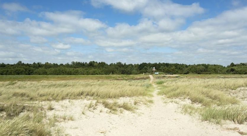 Photo of "Hughe" - 300m from the sea