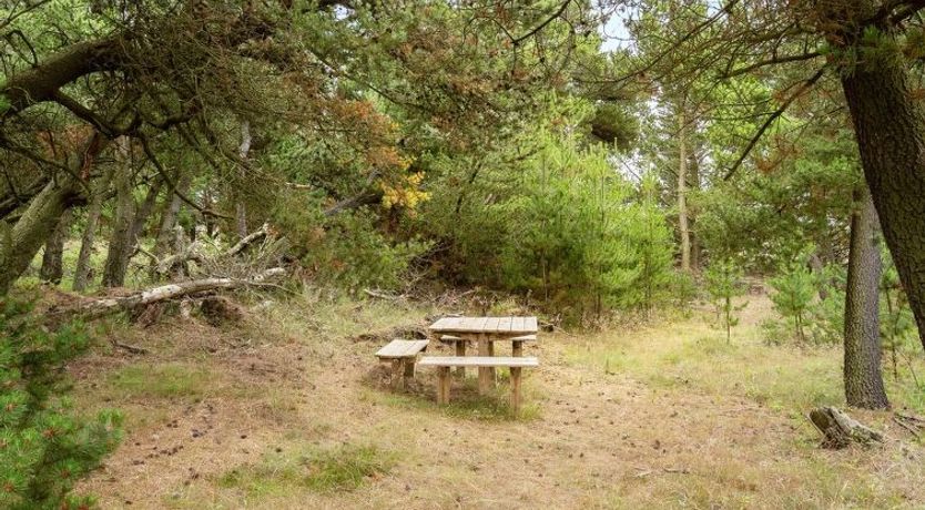 Photo of "Atreju" - 2km from the sea