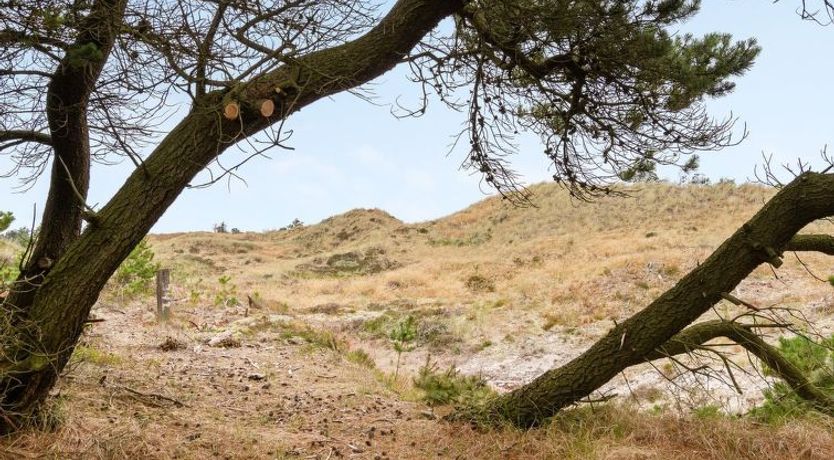 Photo of "Atreju" - 2km from the sea