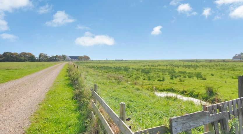 Photo of "Leocadia" - 150m to the fjord