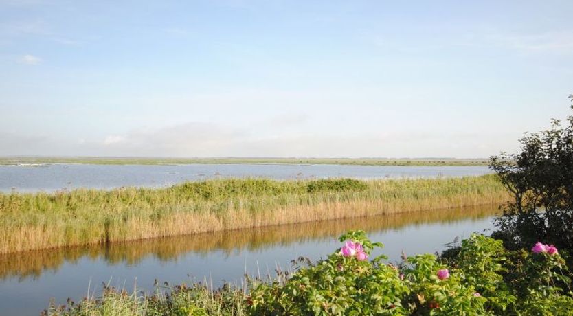 Photo of "Leocadia" - 150m to the fjord