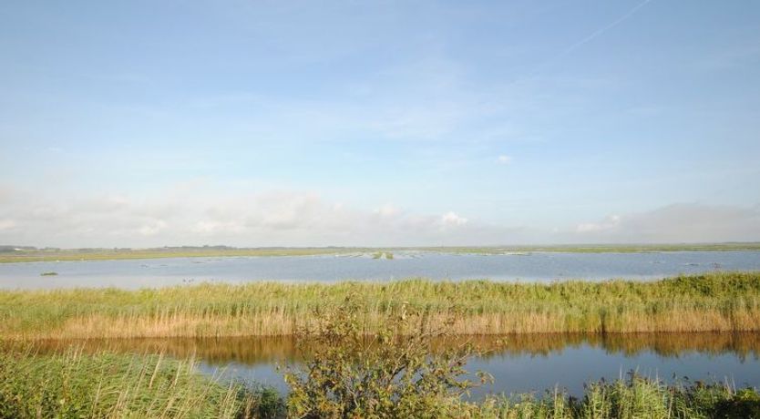 Photo of "Leocadia" - 150m to the fjord