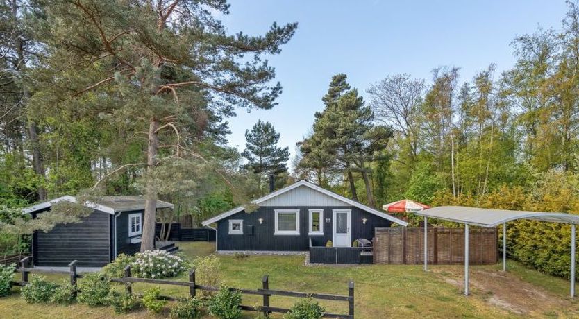 Photo of "Eweline" - 75m from the sea