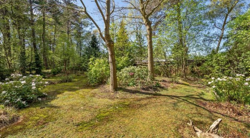 Photo of "Eweline" - 75m from the sea