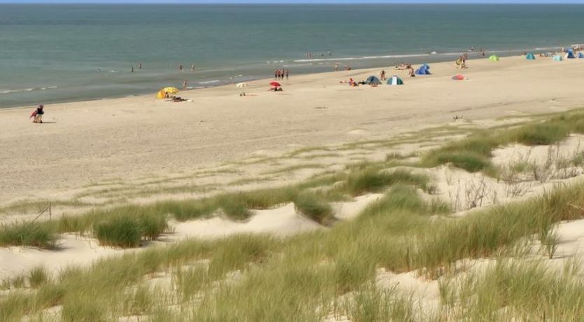 Photo of "Holte" - 700m to the fjord