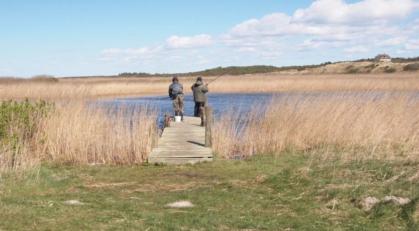 Photo of "Holte" - 700m to the fjord