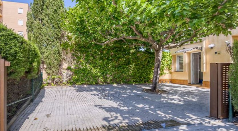 Photo of Port Estrella