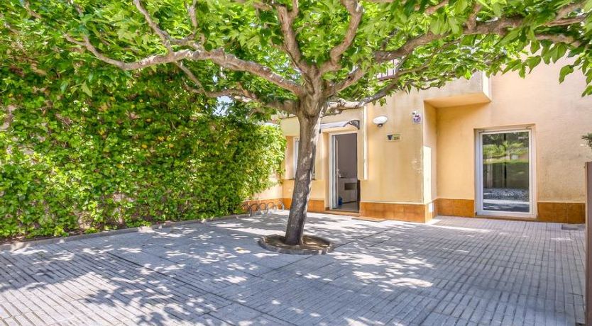 Photo of Port Estrella