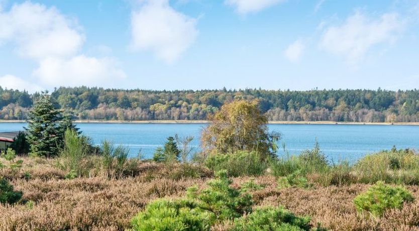 Photo of "Tordis" - 300m to the fjord