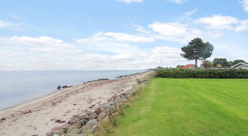 Photo of "Radojka" - 75m from the sea