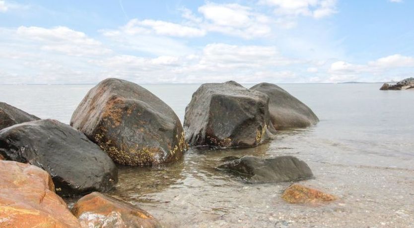 Photo of "Radojka" - 75m from the sea