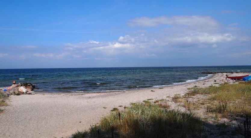 Photo of "Radojka" - 75m from the sea