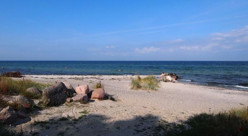 Photo of "Radojka" - 75m from the sea