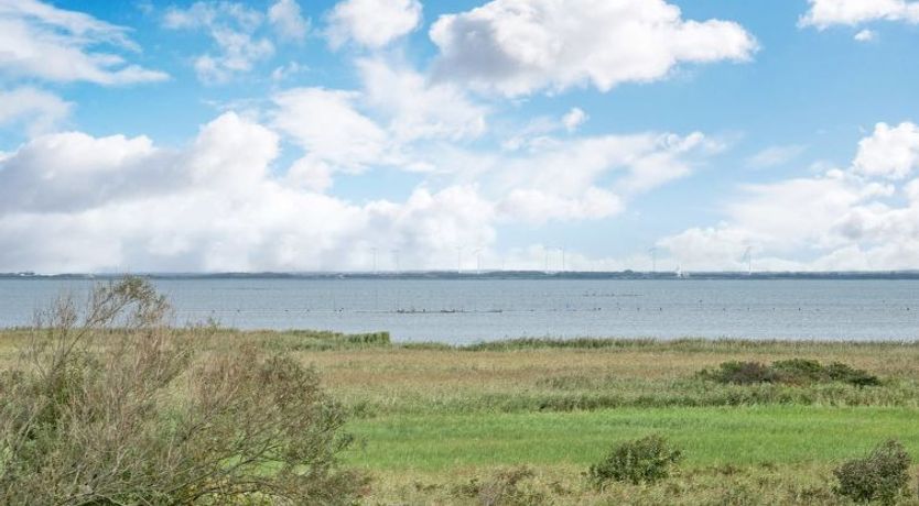 Photo of "Matthias" - 400m to the fjord