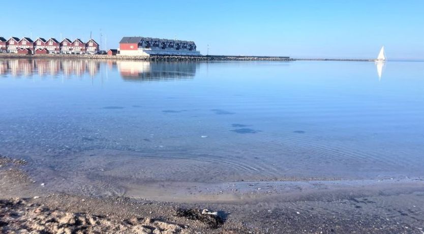 Photo of "Asmund" - 150m from the sea