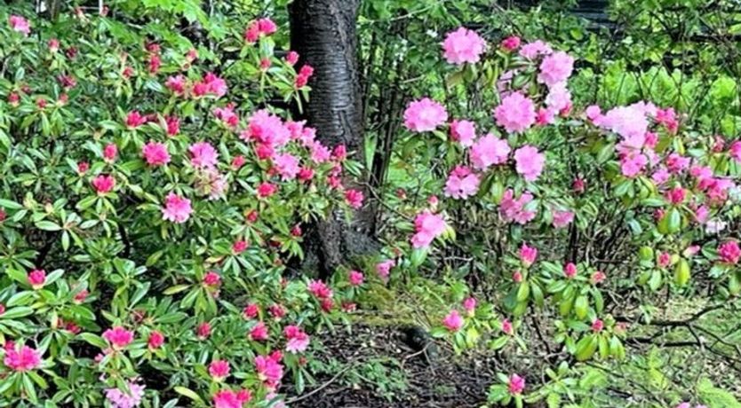 Photo of "Åsemarie" - 600m from the sea